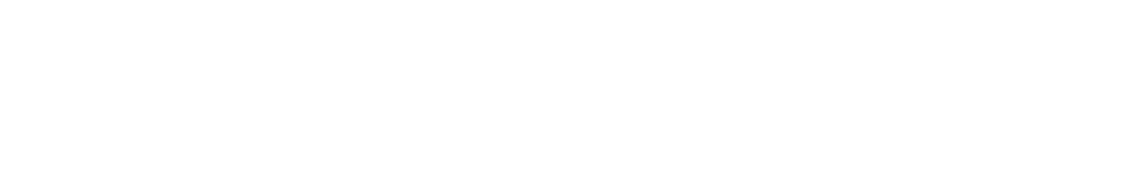 Trackdaysplanner